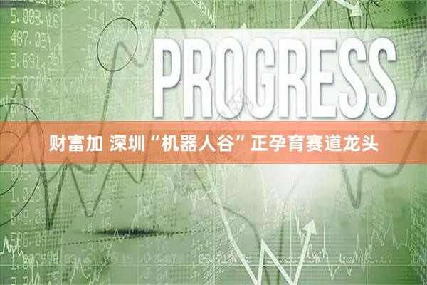 财富加 深圳“机器人谷”正孕育赛道龙头