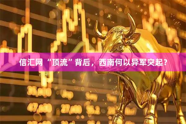信汇网 “顶流”背后，西南何以异军突起？