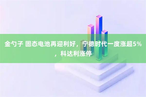 金勺子 固态电池再迎利好，宁德时代一度涨超5%，科达利涨停