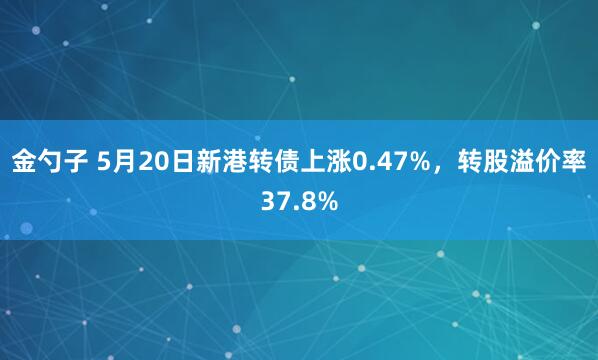 金勺子 5月20日新港转债上涨0.47%，转股溢价率37.8%