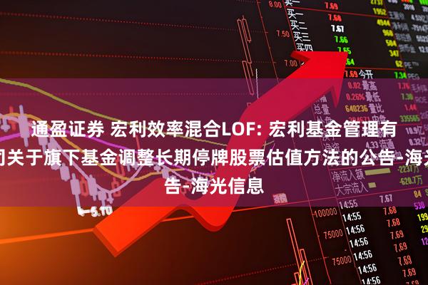 通盈证券 宏利效率混合LOF: 宏利基金管理有限公司关于旗下基金调整长期停牌股票估值方法的公告-海光信息