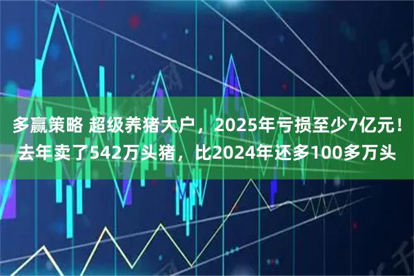 多赢策略 超级养猪大户，2025年亏损至少7亿元！去年卖了542万头猪，比2024年还多100多万头