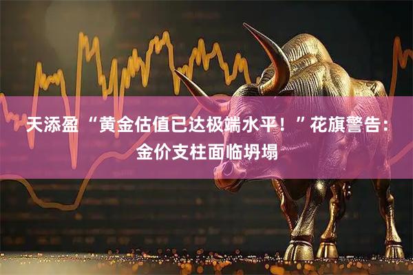 天添盈 “黄金估值已达极端水平！”花旗警告：金价支柱面临坍塌