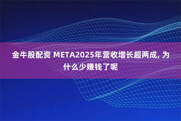 金牛股配资 META2025年营收增长超两成, 为什么少赚钱了呢