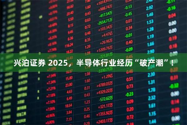 兴泊证券 2025，半导体行业经历“破产潮”！